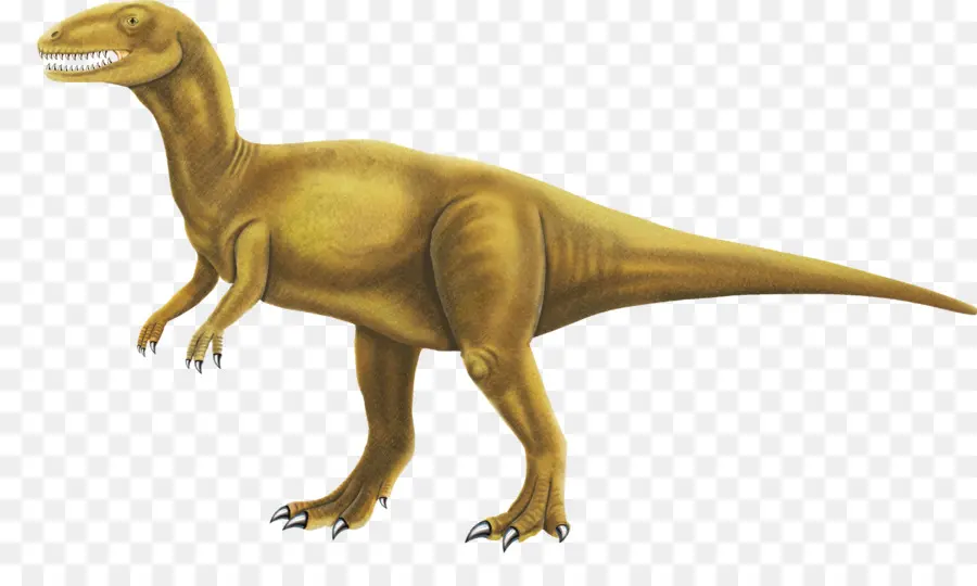 Jejak Kaki Dinosaurus Pemesanan，Gambar Dinosaurus PNG