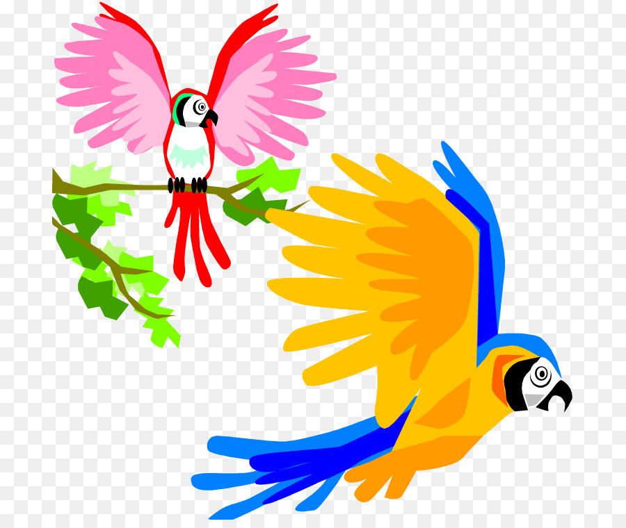 64 Koleksi Gambar Burung Macaw Kartun Terbaik
