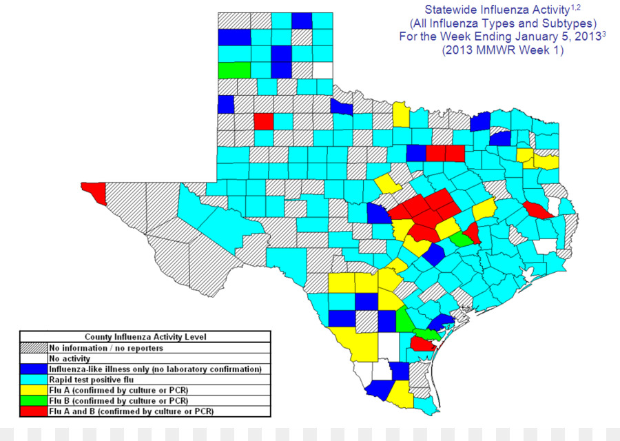 Texas，Surveilans Influenza PNG