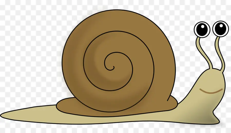 Siput，Moluska PNG