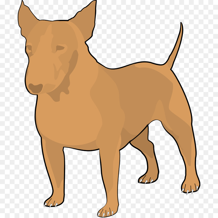 Corgi，Peliharaan PNG