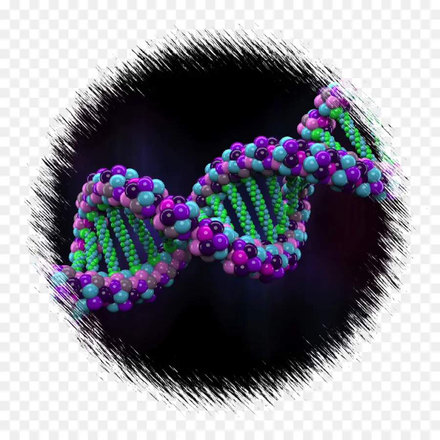 Untai Dna，Genetika PNG