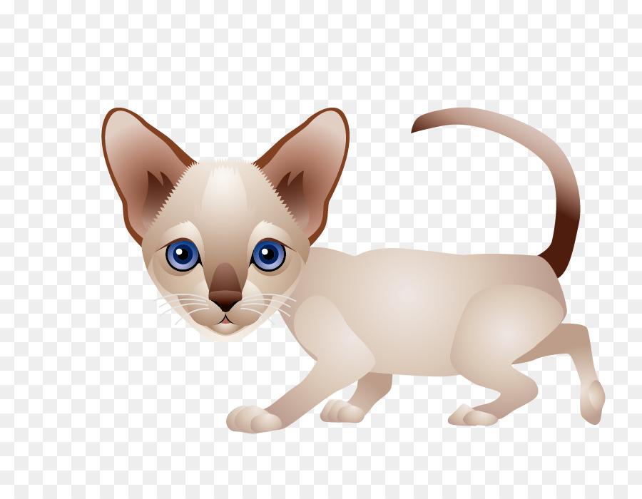 Kucing，Felidae PNG