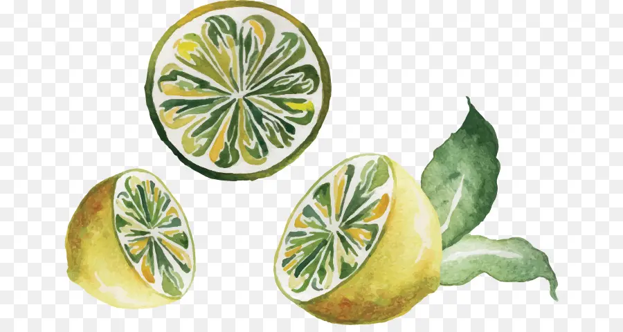 Ilustrasi Lemon，Jeruk PNG