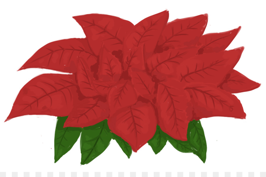 Poinsettia，Kertas PNG