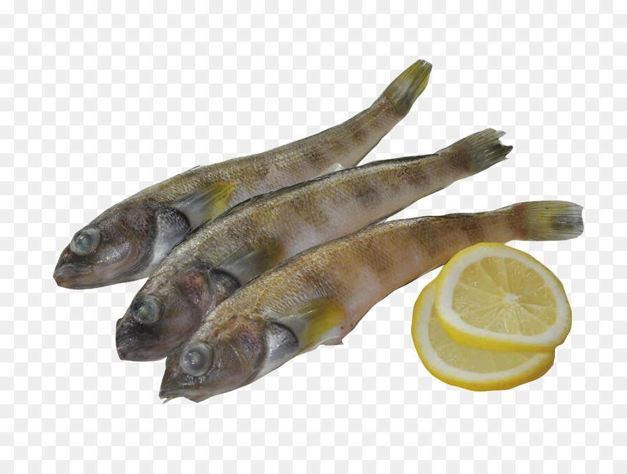 Ikan，Capelin PNG