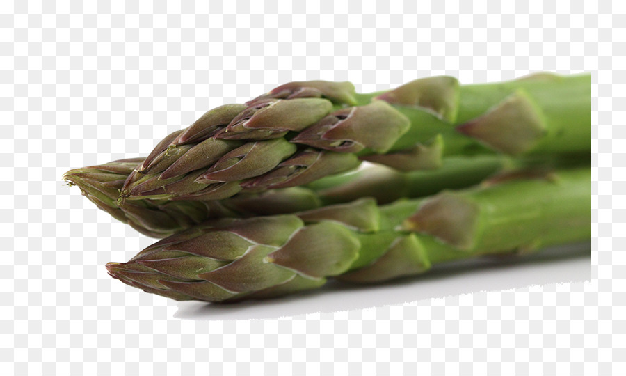 Asparagus，Sayuran PNG