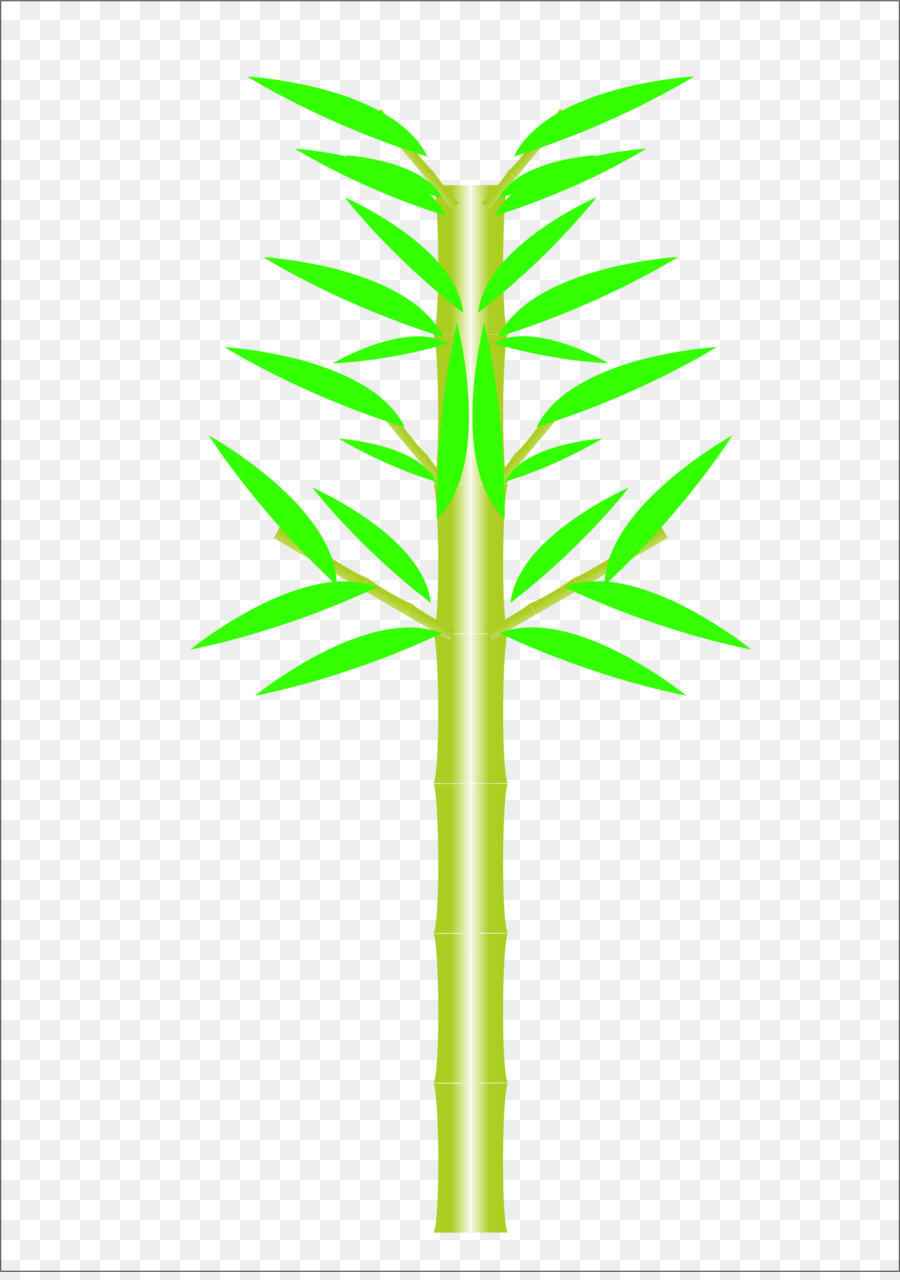 Bambu，Men Download PNG