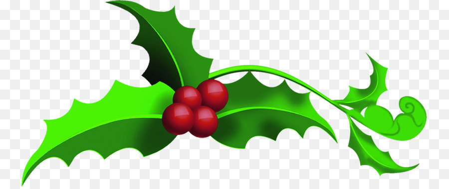 Holly，Daun Daun PNG