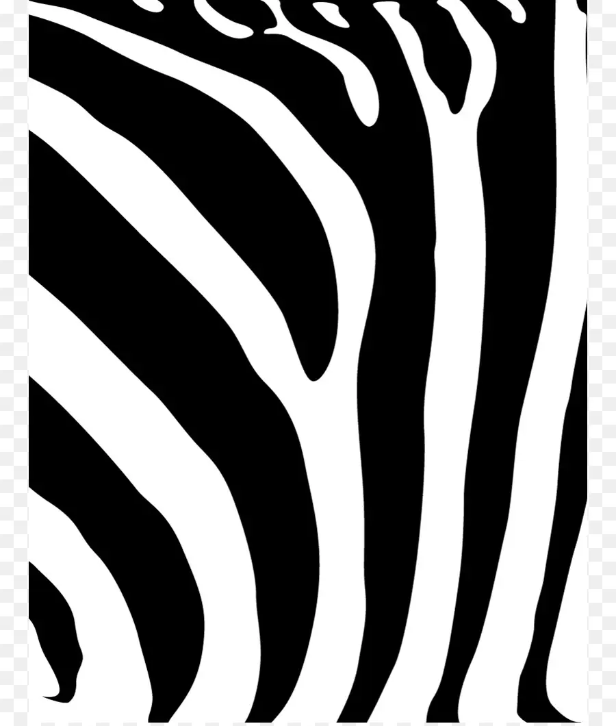 Garis Zebra，Hitam PNG