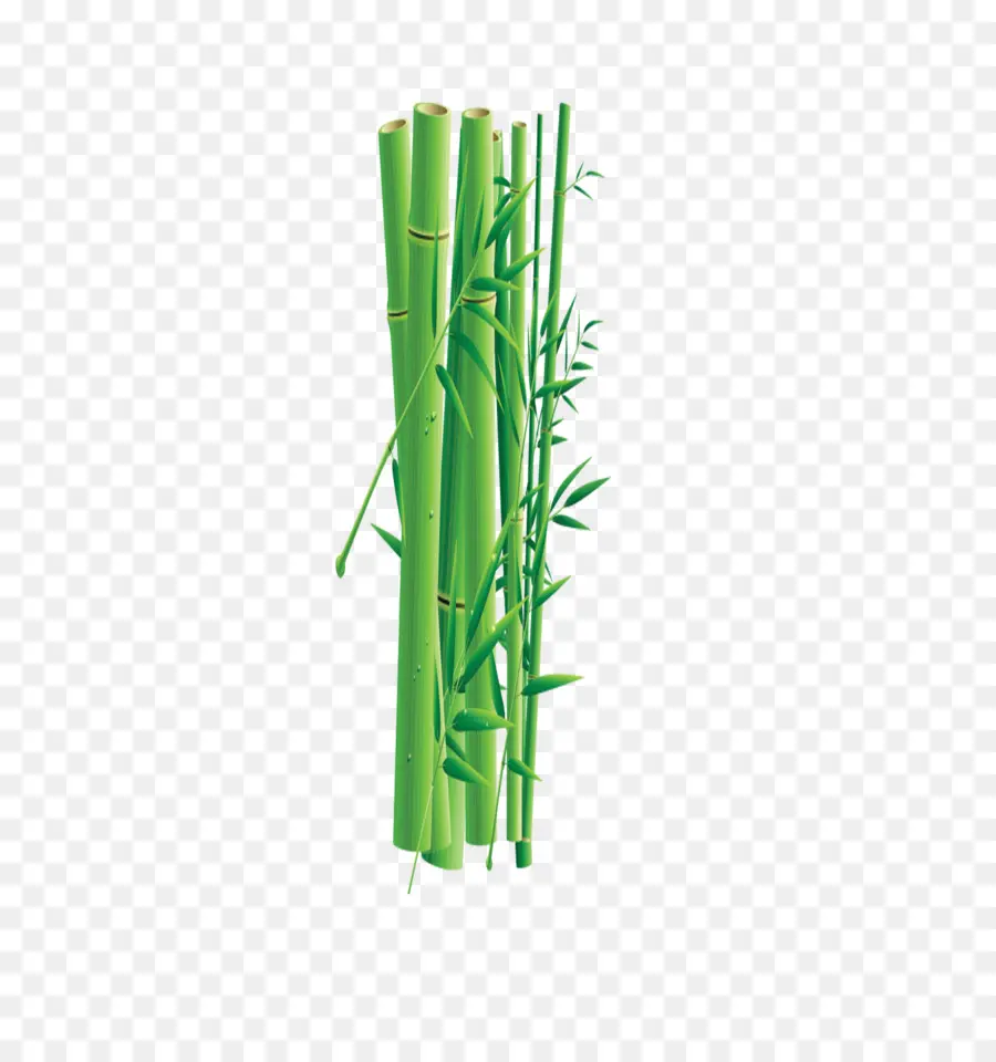 Hijau，Bambu PNG