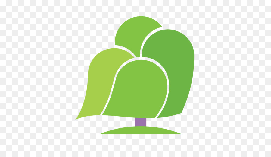 Daun，Pohon Willow PNG