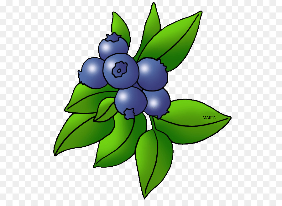 Blueberry，Daun Daun PNG