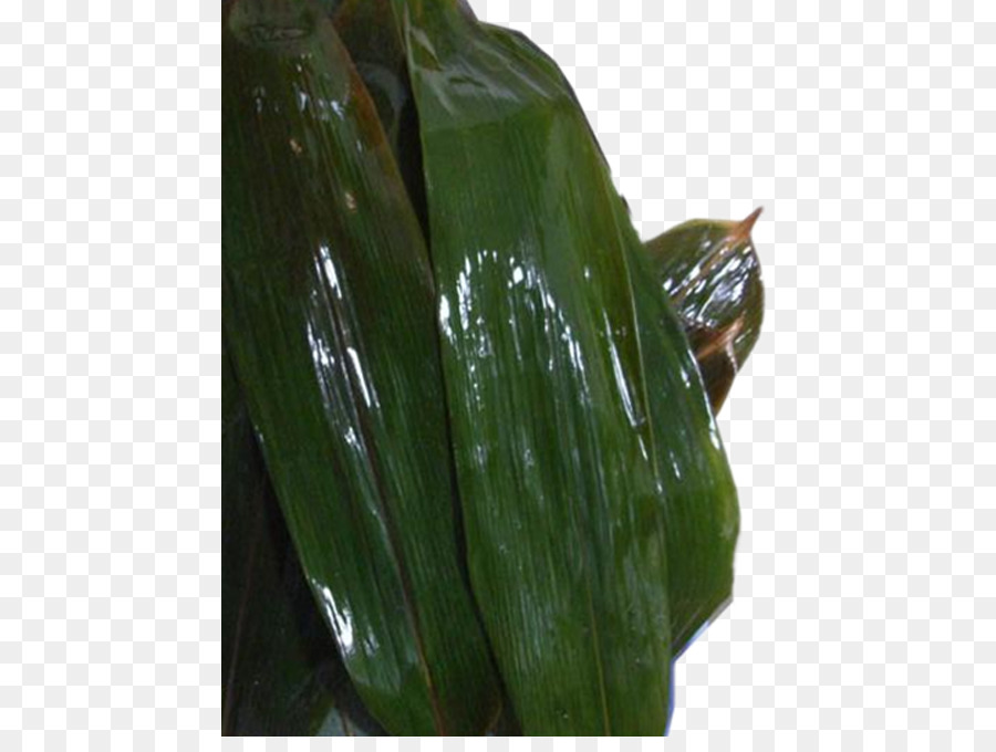 Suman，Zongzi PNG