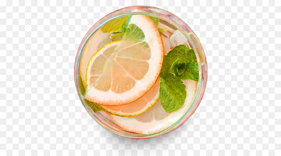 Irisan Lemon，Daun Mint PNG