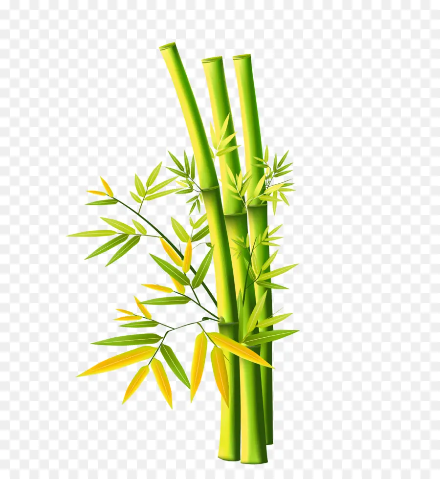 Bambu Hijau，Daun Daun PNG