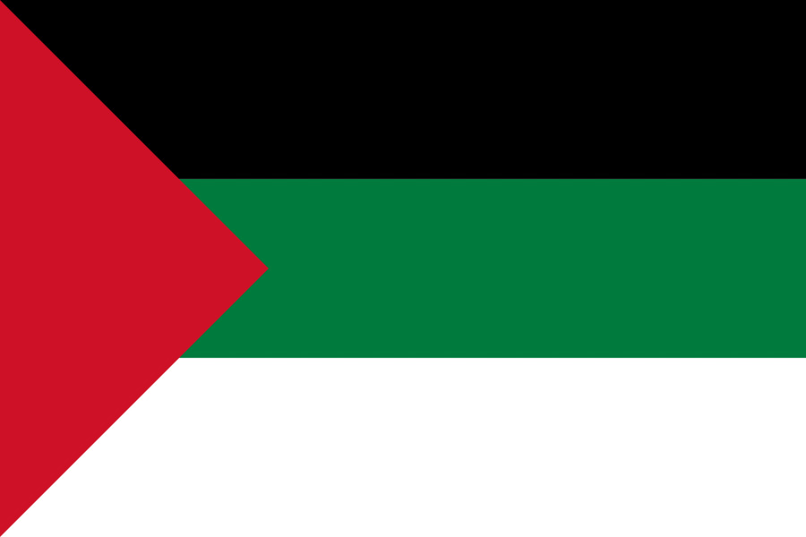 Bendera Palestina，Negara PNG