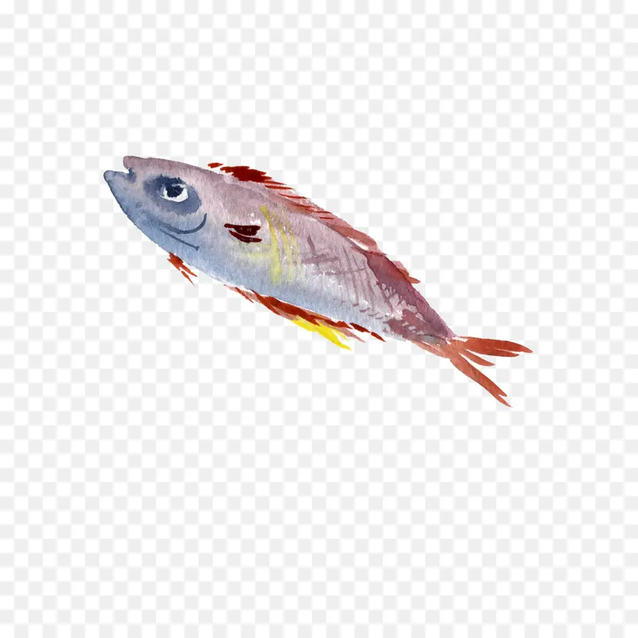 Ikan，Lukisan PNG