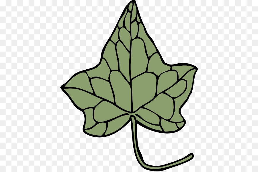 Ivy，Anggur PNG