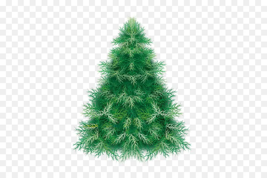 Pinus，Pohon Natal PNG
