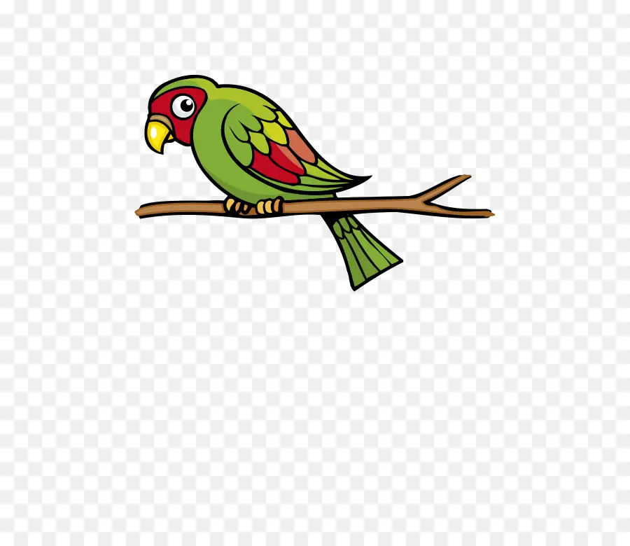 Budgerigar，Burung Beo PNG