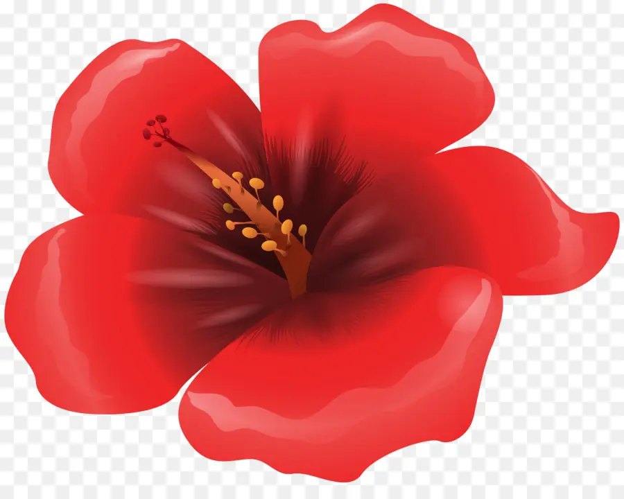 Merah，Bunga PNG