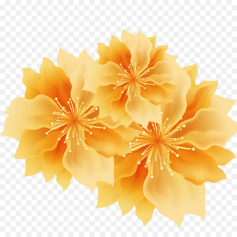 Kuning，Bunga PNG