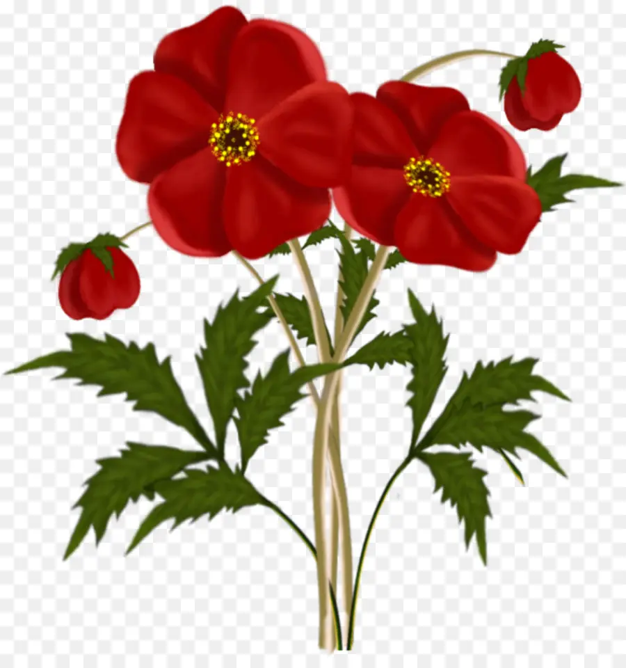 Bunga，Merah PNG