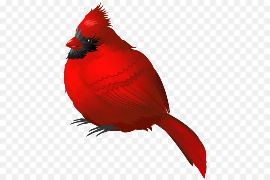 Burung Merah，Hewan PNG