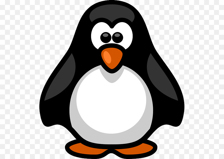 Penguin，Burung PNG