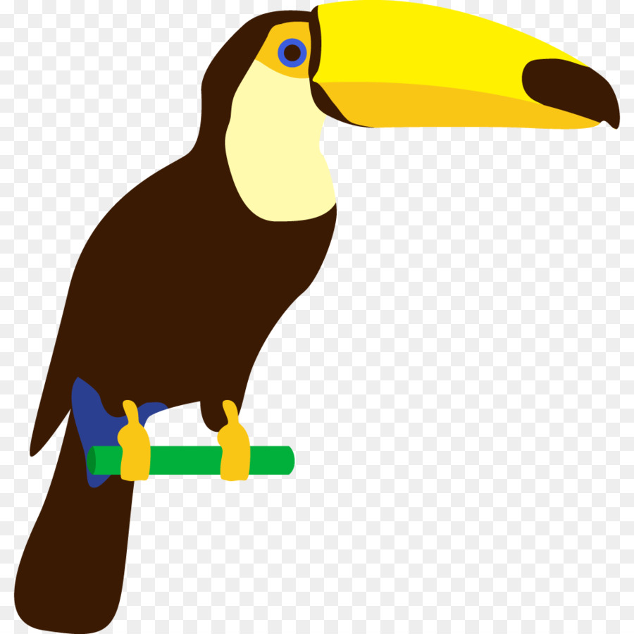 Burung Toucan，Burung PNG