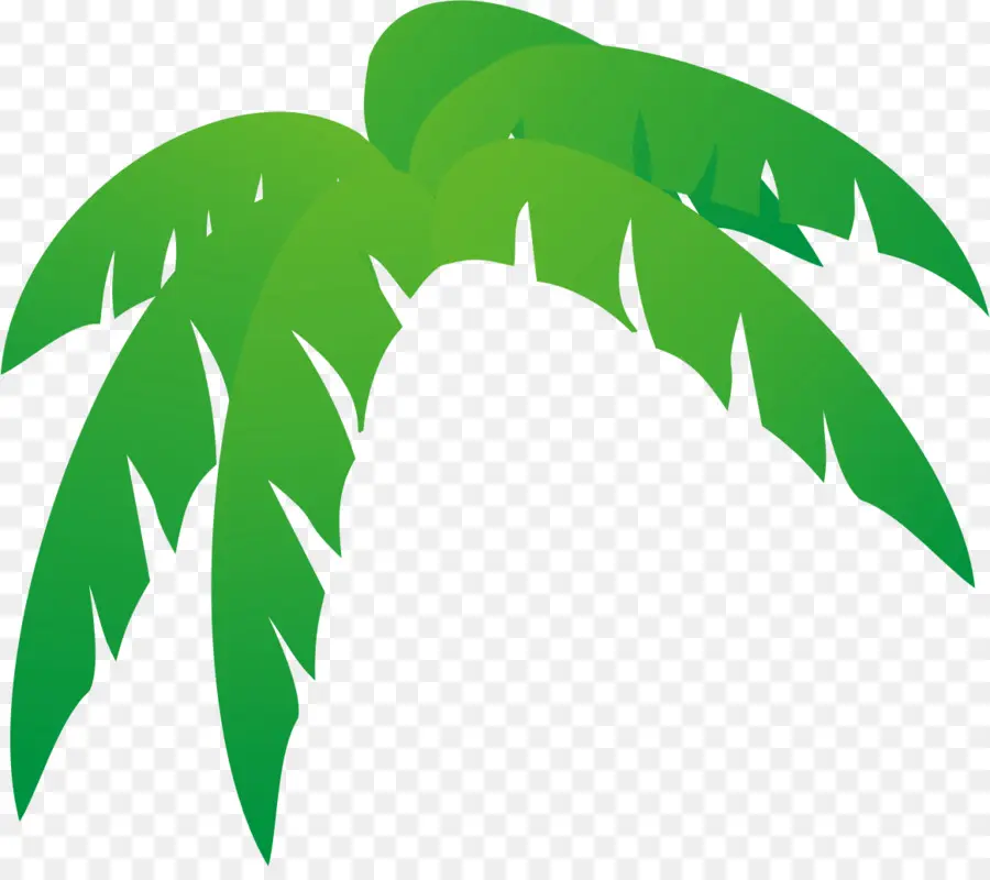 Arecaceae，Daun PNG