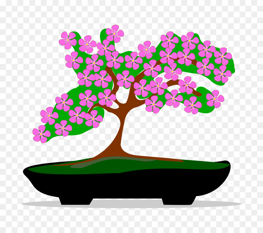 Bonsai，Konten Gratis PNG