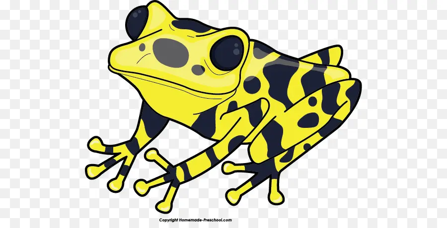 Katak Kuning，Katak PNG