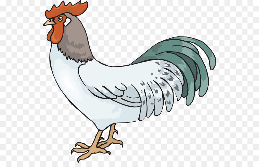 Ayam，Men Download PNG