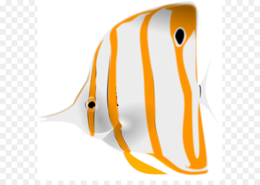 Fourspot Butterflyfish，Copperband Butterflyfish PNG