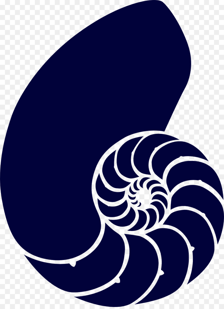 Cangkang Nautilus，Laut PNG