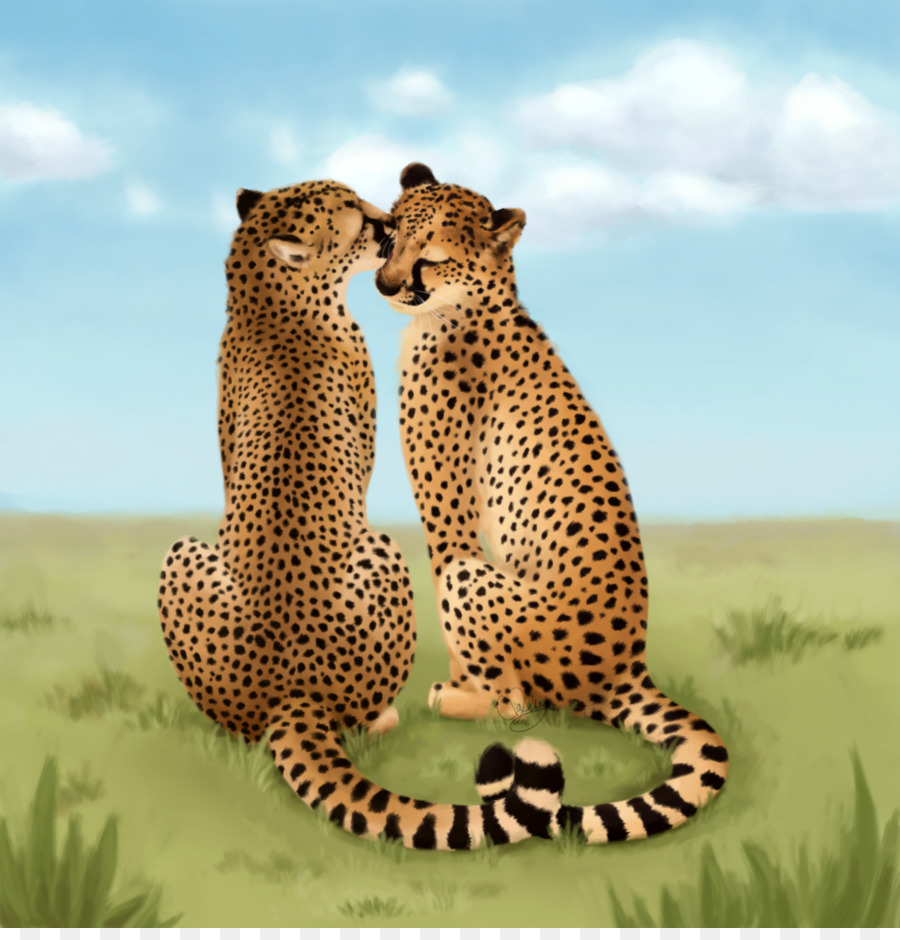 Cheetah，Raja Cheetah PNG