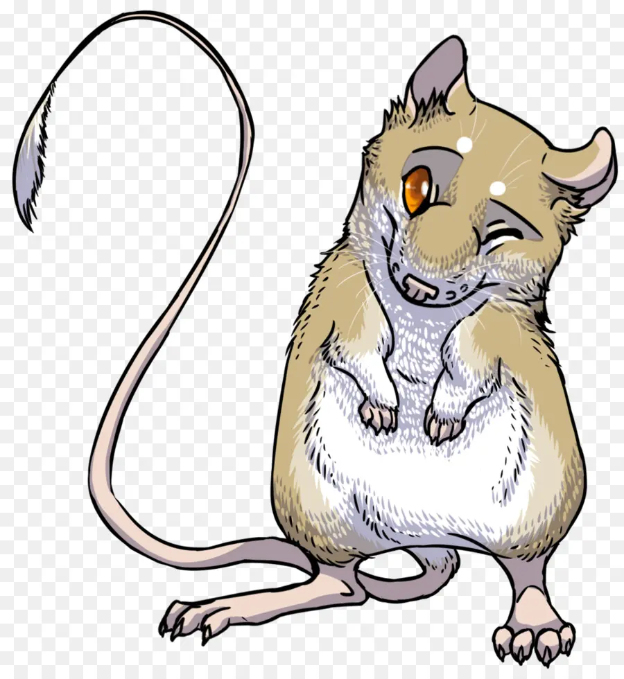 Mouse，Ord Ini Kangaroo Rat PNG