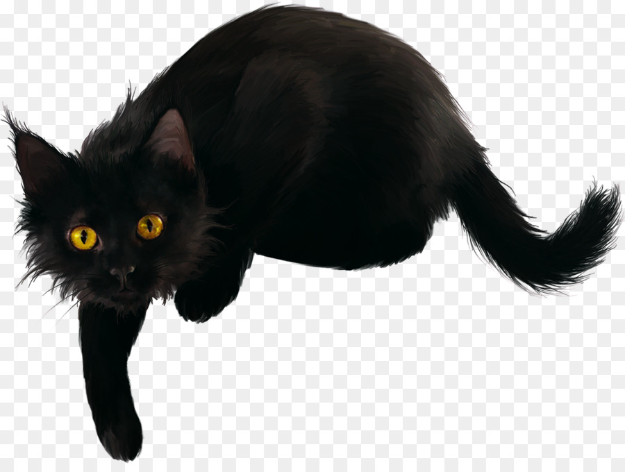 Vektor Harimau Kucing Kucing Hitam Harimau gambar png