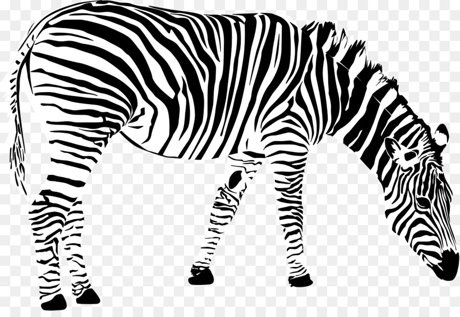 Grant Zebra，Zebra PNG