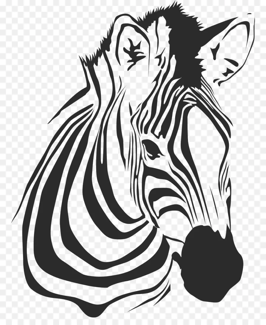 Kepala Zebra，Zebra PNG