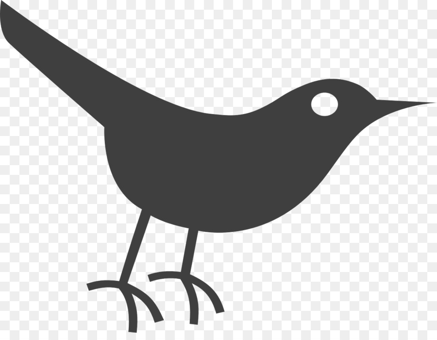 Burung，Media Sosial PNG