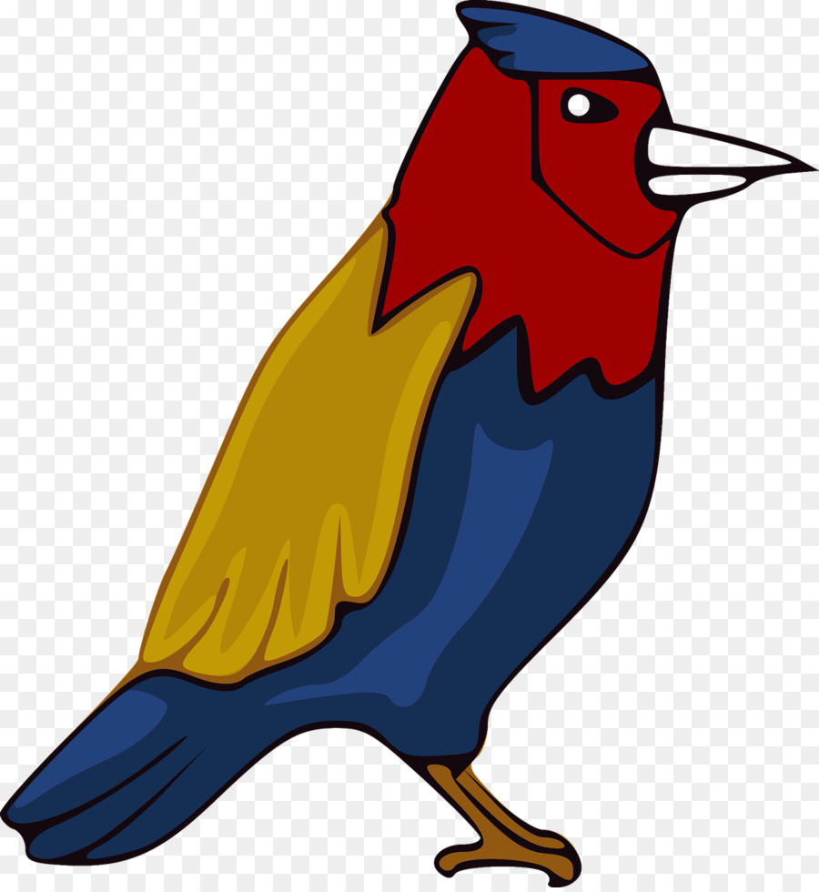 Blue Bird，Bulu PNG