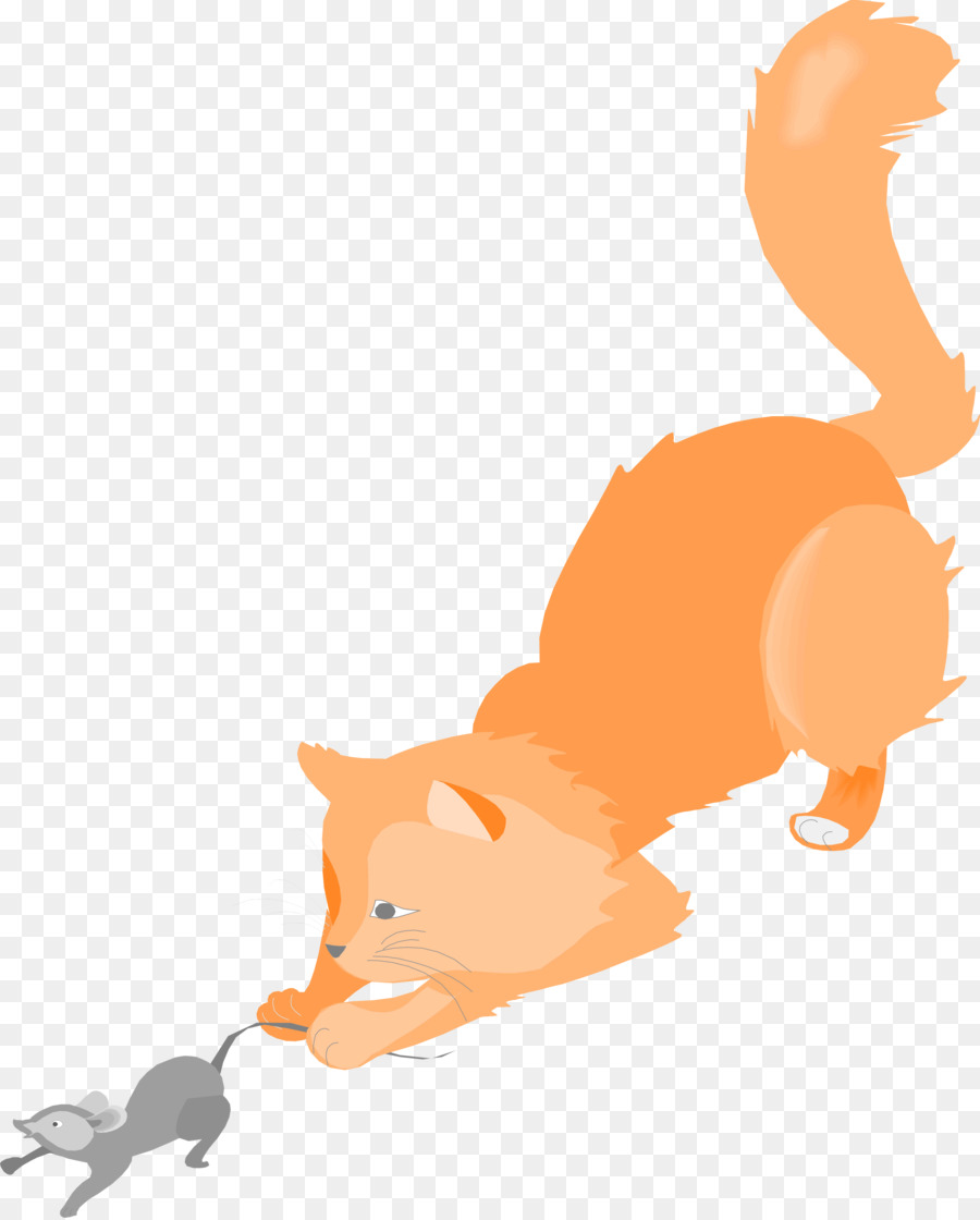 Kucing，Anak Kucing PNG