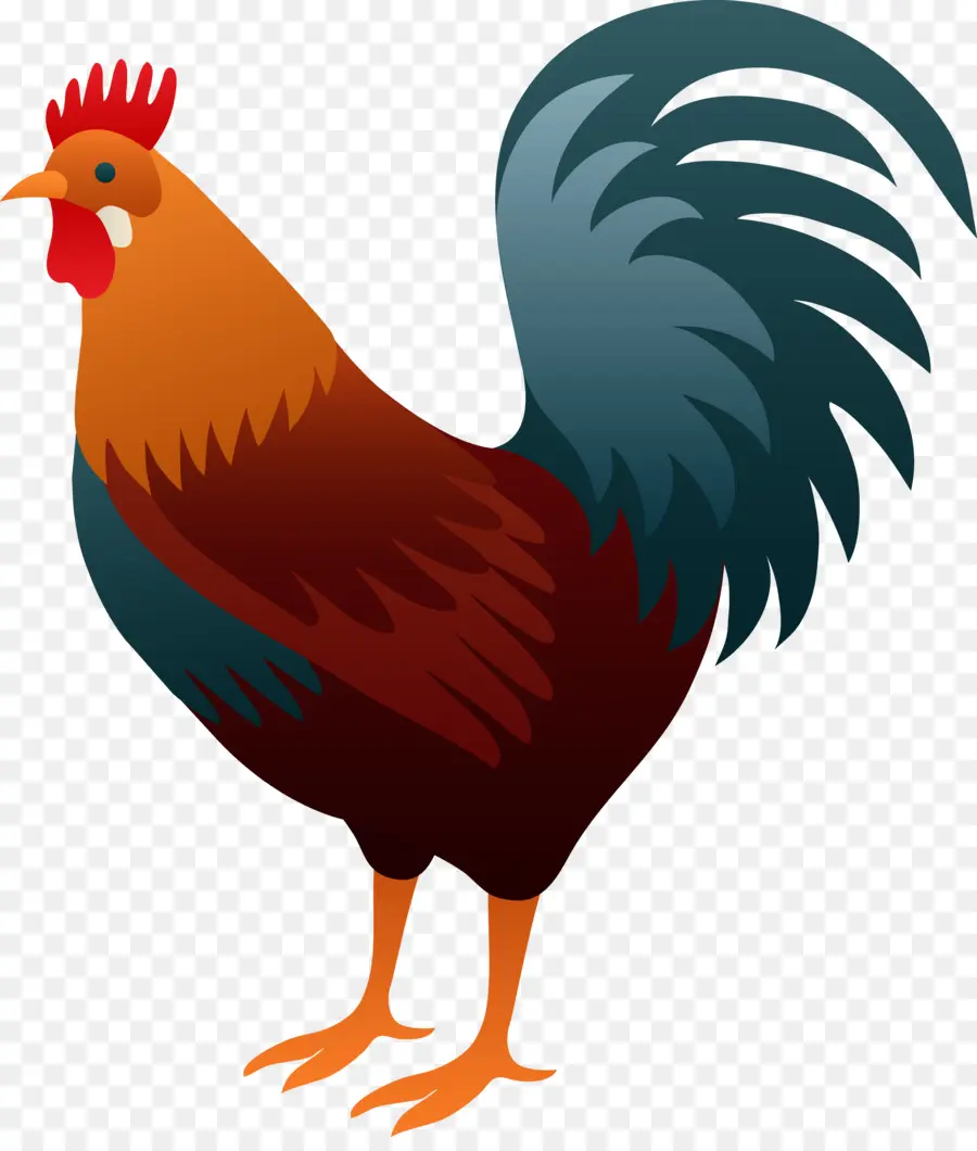 Ayam，Daging Ayam PNG