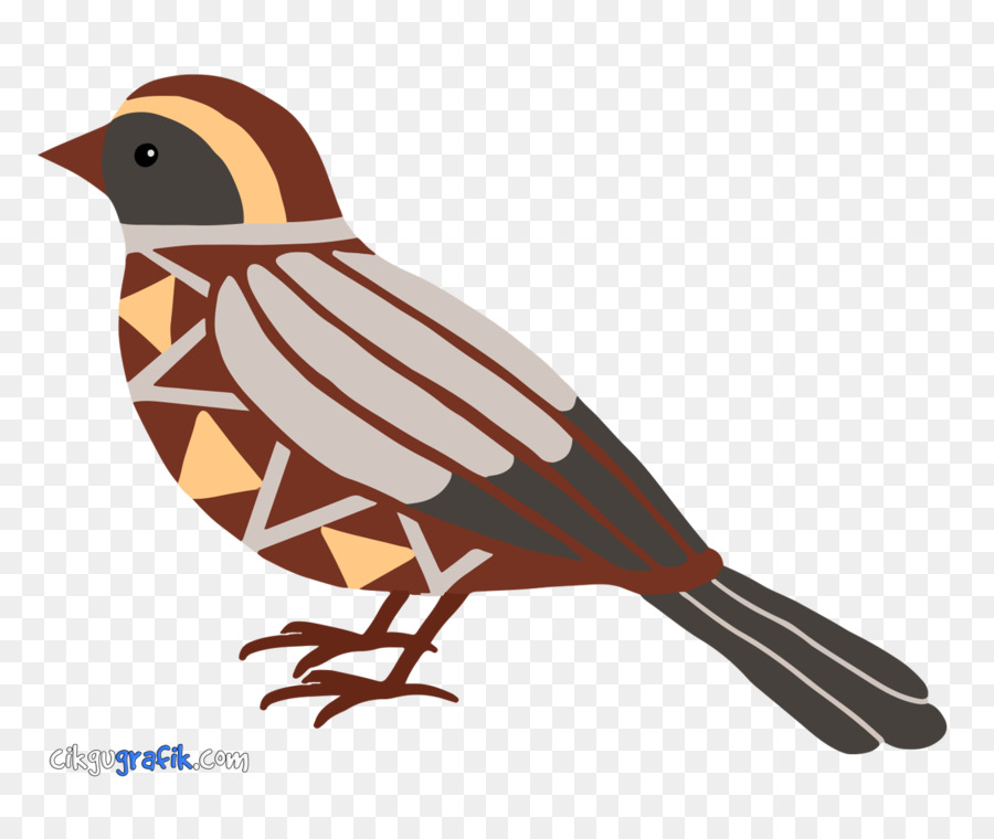 Burung，Geometris PNG