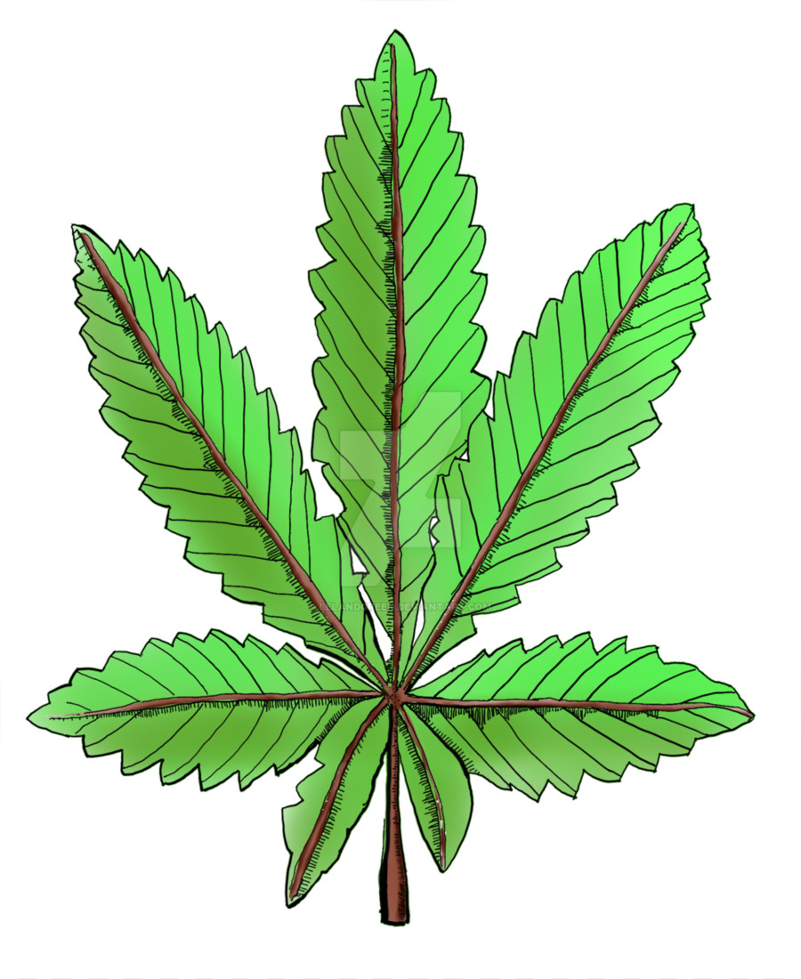 Ganja，Cannabaceae PNG