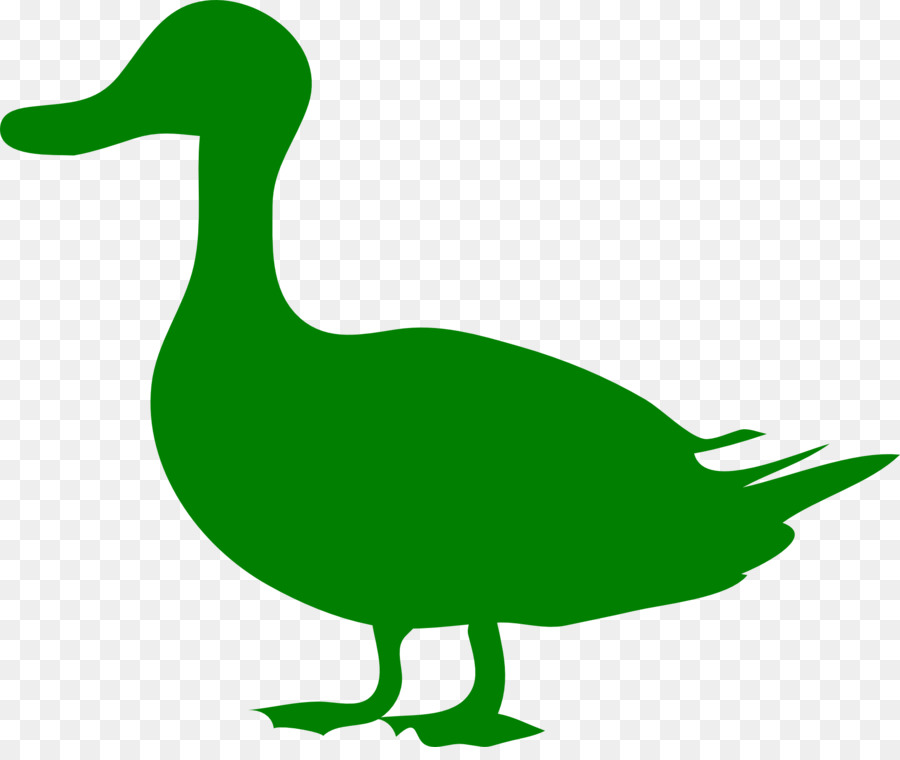 Bebek，Mallard PNG