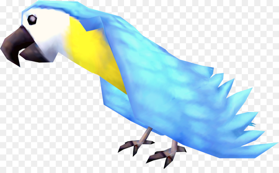 Runescape，Burung Beo PNG